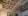 Painted Ceiling.jpg.webp
